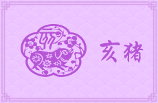 分手后，属猪男都教会了你什么